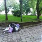 Fotka nr 5 z 7
