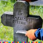 zdjęcie nr 7