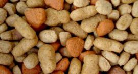 dry-cat-food-3-926980-m