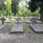 zdjęcie nr 12