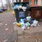 zdjęcie nr 7