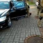 Fotka nr 2 z 4