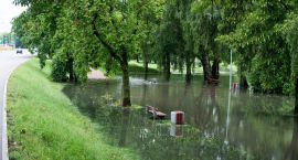 Park Antoniuk Leszek Kulesza3
