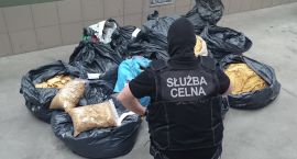 02.2015. Łomża - 150 kg nieleglanego tytoniu na prywatnej posesji