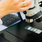  fot. Łukasz Nowicki/UwB. 
