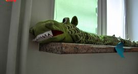 _DSC0008