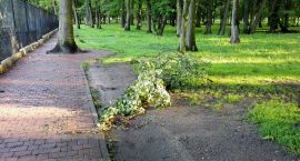 Park po nawałnicy3