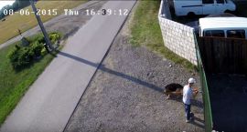 2015-08-10 14_33_48-Piotr Kuryło podrzuca psa pod bramę Azylu psiaków szukających domu...