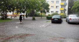 zdjęcie nr 7