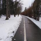 zdjęcie nr 7