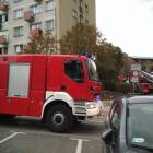 Fotka nr 5 z 18