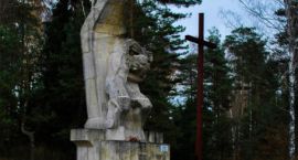 zdjęcie nr 7