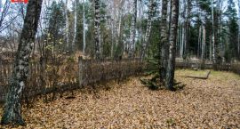 _DSC0018