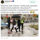 Fotka nr 0 z 1