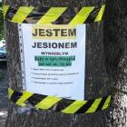zdjęcie nr 7