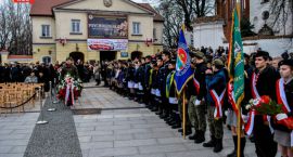 zdjęcie nr 16