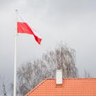 zdjęcie nr 30