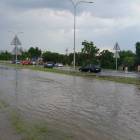 zdjęcie nr 11