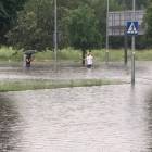 zdjęcie nr 8