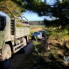 Fotka nr 5 z 11