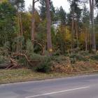 zdjęcie nr 8