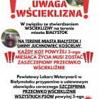 Fotka nr 1 z 2