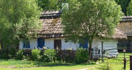 zdjęcie nr 11