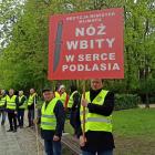 Fotka nr 3 z 9