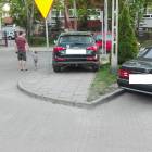 zdjęcie nr 17