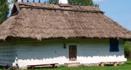 zdjęcie nr 13