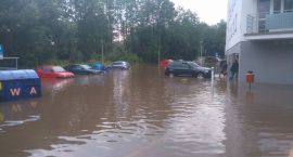 zdjęcie nr 12