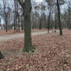 zdjęcie nr 7