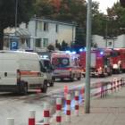 Fotka nr 3 z 18