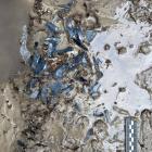  MUZEUM PODLASKIE W BIAŁYMSTOKU 
