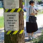 zdjęcie nr 10