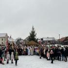zdjęcie nr 8