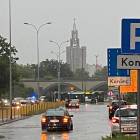 zdjęcie nr 14