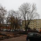 Fotka nr 1 z 10