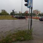 zdjęcie nr 22