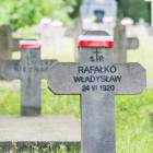 zdjęcie nr 17
