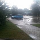 zdjęcie nr 9