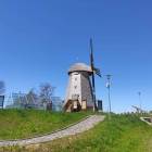zdjęcie nr 8