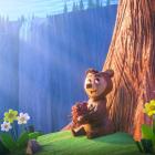   &bdquo;Wiecznie zielony&rdquo; (Forevergreen)  
