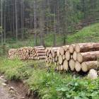 Fotka nr 1 z 15