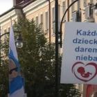 Fotka nr 3 z 6