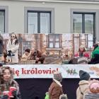 zdjęcie nr 17