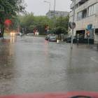 zdjęcie nr 17