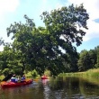 zdjęcie nr 