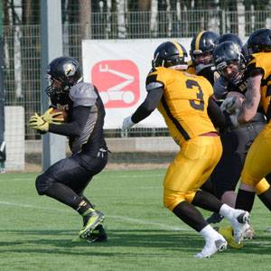 Zdjęcie: dyscypliny sportowe Sport ddb24