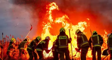 Spłonęło prawie 90 hektarów Biebrzańskiego Parku Narodowego!